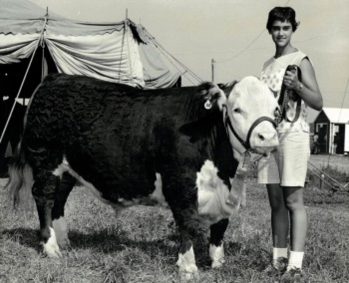 The inspiration for the name of Little Joe Ventures Fellowship Program in Entrepreneurship comes from an unusual source – a cow.