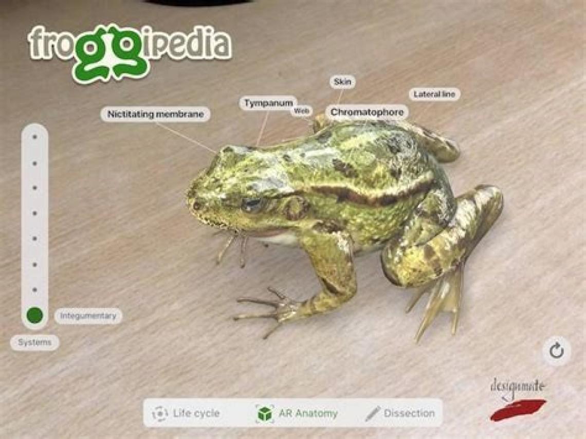 Froggipedia screenshot